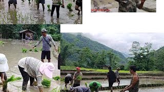 Akukau H Toniho no lu sho ani.  Sukimi Nagaland // kakiye yeptho vlog//.