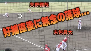 抜けそうな打球を矢野雅哉が好捕！ファインプレーのハズが直後の落球により惜しくも出塁させてしまう…