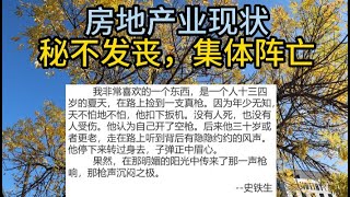 房地产业现状-密不发丧-集体阵亡 中国约有13家地产企业面临1个月内退市 #中国经济 #中国房地产 #中国财经