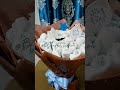 diaper bouquet for baby boy 🍼 babyshower diaperbouquet babygift customized