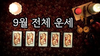 [타로카드] 9월 전체 운세