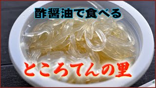 旅の駅伊豆ところてんの里徳造丸を下田に向かう途中で発見したので伊豆名物だから立ち寄って食べるが酢を吸い込んでむせるのはよくあることだ Tokoroten:グルメレポートGourmet Report