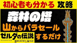 【森林の塔】初心者にも分かる攻略解説　ブレスオブザワイルド　ゼルダの伝説　シーカータワー