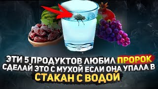 Удивительно Полезные Продукты, которые любил Пророк ﷺ | И Хадис о мухе которая упала в стакан Воды!