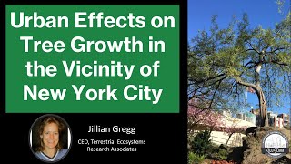 Urban Effects on Tree Growth in the Vicinity of New York City - Dr. Jillian Gregg - NYC EcoFlora