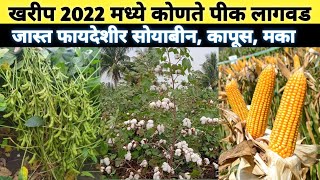 खरीप 2022 मध्ये कोणते पीक लागवड जास्त फायदेशीर सोयाबीन, कापूस, मका soyabean, cotton, maize