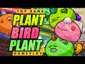 MMR:2874 Season 21 Numbing Lecretion Back Lane Gameplay - Plant | Plant | Bird Build (Axie Infinity)