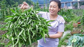 The dish that mother-in-law does not want, take home to boil soup, the taste is really good