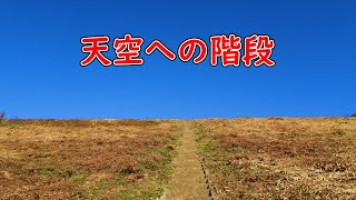 天空への階段を登る【杉山】