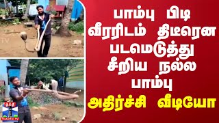 பாம்பு பிடி வீரரிடம் திடீரென படமெடுத்து சீறிய நல்ல பாம்பு... அதிர்ச்சி வீடியோ