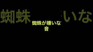 蜘蛛が嫌いな音だって