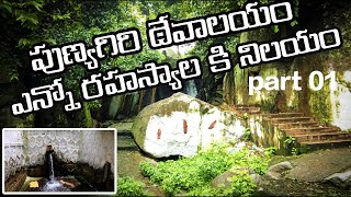 The Shocking Truth About Punyagiri Temple's History Revealed