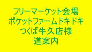 フリーマーケット会場　ドライブ　道案内