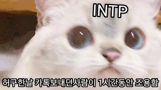 INTP 사용설명서 54. 의외의 소심함