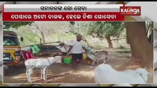 Nayagarh Man auto driver by profession and cow caretaker by passion || Kalinga TV