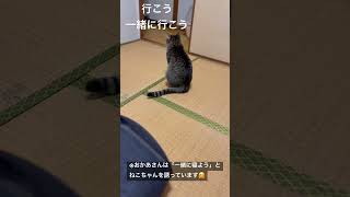 一緒に寝たいおかあさんとオチをつけるねこちゃん