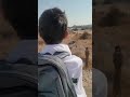 Battle of Badr Nasheed live recorded from the plains of Badr #shorts