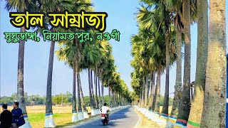 গ্রাম বাংলার অপরূপ সৌন্দর্য তালতলী ঘুঘুডাঙ্গা। নিয়ামতপুর নওগাঁ