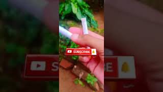 സിഗരറ്റ് വീട്ടിലറിയാതെ വലിച്ചപ്പോൾ🚭🔞||FULL SEEN🔥||#SHORTS #trending #youtubeshorts #viral