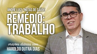 REMÉDIO: TRABALHO - NOTAS DE SAÚDE