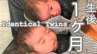 IDENTICAL TWINS : 1 MONTH OLD UPDATE