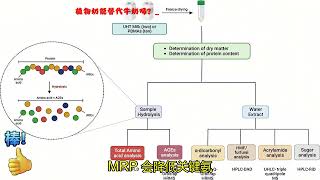 有读 植物奶能替代牛奶吗？