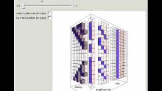 Elementary Cellular Automaton Process Visualization