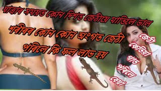 জেঠী গাত পৰিলে কি হয়, জেঠী video, জেঠী সন্মুখত পৰিলে কি হয়, মানুহৰ শৰীৰত জেঠী পৰাৰ ফল, house gecko