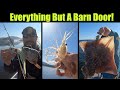 Everything But A Barn Door! Alaskan Halibut Fishing - Petersburg, Alaska! AUGUST 2021