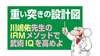 重い突きの設計図 川嶋佑先生のIRMメソッドで武術IQを高めよ