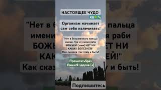 Организм начинает сам себя излечивать#ангел ₽таро#рек #shortvideo #shorts