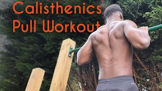 Calisthenics Pull Workout | BUILD PULLING STRENGTH