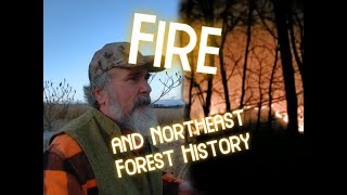 Fire and Northeast Forest History