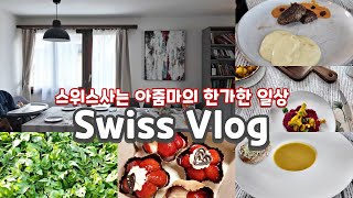 스위스 일상/Swiss Vlog/스위스요리, 산책, 스위스에도 한국을 사랑하는 사람들이 많아요.