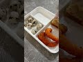 IDE bekal anak sekolah Yang praktis #shorts #fyp #cooking #viral