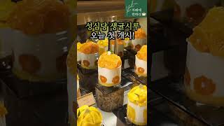 성심당 생귤시루 오늘 첫개시#성심당생귤시루#성심당오픈런#성심당망고시루