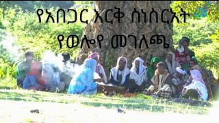 Arehibu media የወሎ ልዩ መገለጫ የሆነው የአበጋር እርቅ  ስነ ስርአት