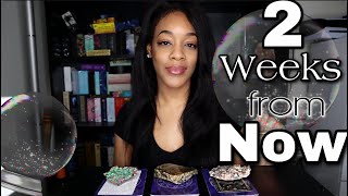 🔮Pick A Card🔮 DETAILED 2 WEEKS from NOW || Astrological Breakdown + Tarot Reading