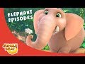 Excellent Elephant  – JB S3 Animal Compilation #3