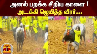 அனல் பறக்க சீறிய காளை !  அடக்கி ஜெயித்த வீரர்... | Palamedu Jallikattu