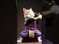 ninja cat cats