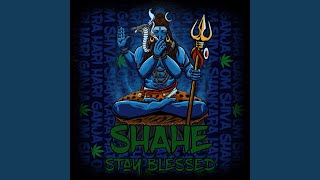 The Herb Mantra (OM SHIVA SHANKARA HARI HARI GANJA)