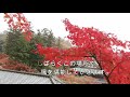 【鎌倉】北鎌倉の紅葉　燃ゆる12月　円覚寺