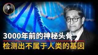 外星头骨困扰科学家百年，DNA检测出不属于人类的基因