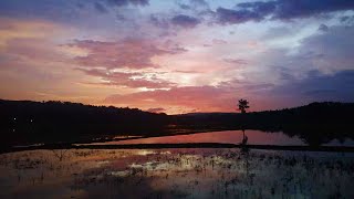 പ്രകൃതി ഒരുക്കിയ മനോഹര കാഴ്ചകളുമായി സഞ്ചാരികളെ മാടി വിളിച്ച് മലപ്പുറത്തെ കാറ്റാടിപ്പാടം