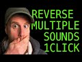 How to reverse multiple sounds all at once in any DAW with initial reverse