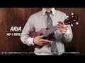 aria au 1 soprano ukulele