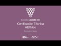 Certificación Técnica AEOdoo