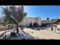 From the Church of the Holy Sepulchre to the Damascus Gate -  Virtual Tour of Jerusalem [ASMR]