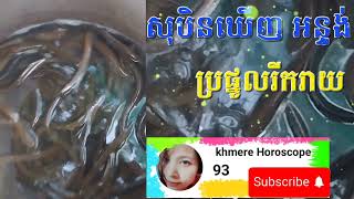 សុបិនឃើញ អន្ទង់ ប្រផ្នូល ពាក់ព័ន្ធនឹងសុខភាព